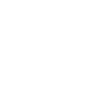reset camera